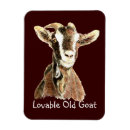 Search for loveable magnets Cute