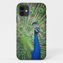 Search for peafowl iphone cases Animals
