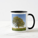 Search for maple tree mugs Nature