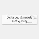 Search for squirrels bumper stickers Squirrel humour