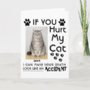 Search for cat breeds cards Pet