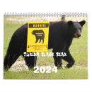 Search for black bear photography Wildlife
