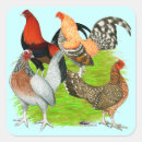 Search for game bird stickers Poultry