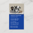 Search for vet tech business cards Animal