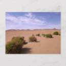 Search for goby postcards China