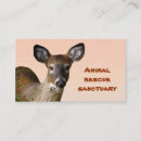 Search for animal rescue business cards Shelter