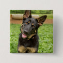 Search for german shepherd badges Puppy