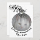 Search for funny christmas baubles Kitten