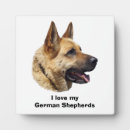 Search for german shepherd photo display Puppy