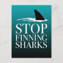 Search for fins postcards Ocean