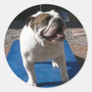 Search for titanic stickers English