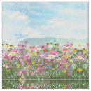 Search for cosmos photography Yellow
