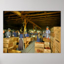 Search for packing posters Orange