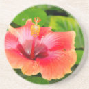 Search for alabama coasters Cindy miller hopkins
