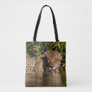 Search for panthera onca Wildlife