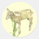 Search for aries stickers Sheep