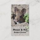 Search for pest control Mice