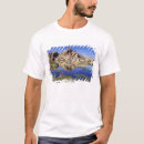 Search for joshua tree national park tshirts California