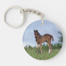 Search for thoroughbred key rings Foal