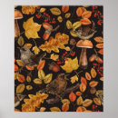 Search for fungi posters Fall