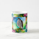 Search for goshawk Wildlife