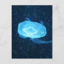 Search for transparent postcards Ocean