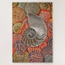 Search for nautilus puzzles Ocean