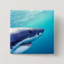 Search for jaw badges Fish