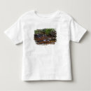 Search for utah tshirts Backcountry