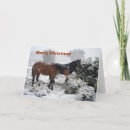 Search for pony christmas cards Snow