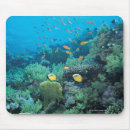 Search for wild creatures mousepads Underwater
