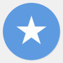 Search for somali Flags