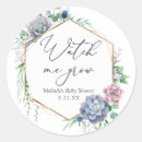 Search for watch me grow stickers Succulent