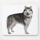 Search for alaskan malamute mousepads Dog