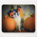 Search for pumpkin cat mousepads Kitty