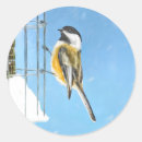 Search for snow capped stickers Bird