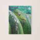 Search for rainforest puzzles Cool