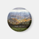 Search for psalm magnets Bible