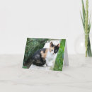 Search for opera cards Funny