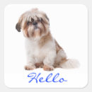 Search for shih tzu dog stickers Shitzu