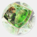 Search for cells stickers Botany