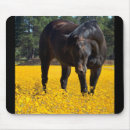 Search for black horses mousepads Quarter horse