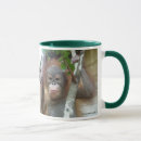 Search for great apes mugs Animal