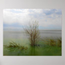 Search for meditation landscape posters Lake