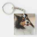 Search for sheltie key rings Cute