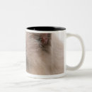 Search for cut up drinkware Animal body part