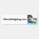 Search for hedgehogs bumper stickers Hedgie