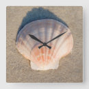 Search for florida seashells art Coast