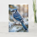 Search for blue jay christmas cards Nature