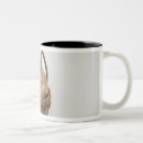 Search for dwarf mugs Rabbit